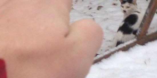 Imagem do grupo de WhatsApp ARMARIO 7.0