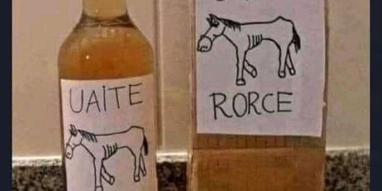 Imagem do grupo de WhatsApp Servejetarianos