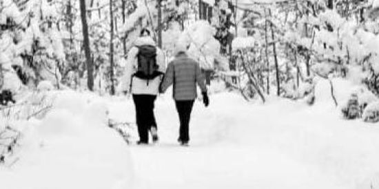 Imagem do grupo de WhatsApp Amor que sempre quis