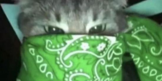 Imagem do grupo de WhatsApp 💣AMIZADE/NAMORO💣