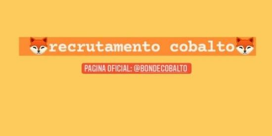 Imagem do grupo de WhatsApp Rectutamento cobalto🦊