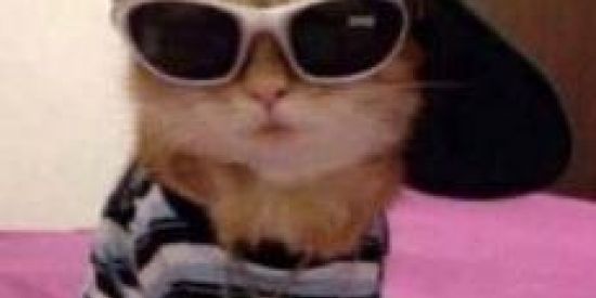 Imagem do grupo de WhatsApp AMIZADE (._