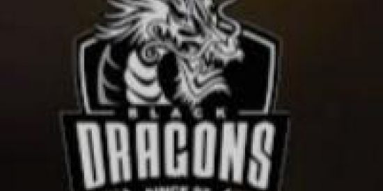 Imagem do grupo de WhatsApp BR DRAGONS 🐉