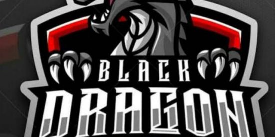 Imagem do grupo de WhatsApp BLACK DRAGONS 🐉👑