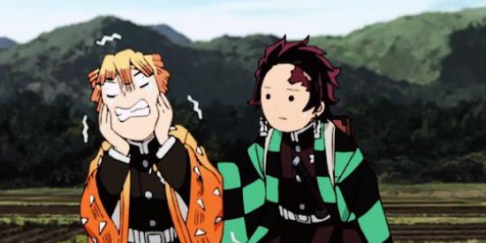 Imagem do grupo de WhatsApp GRUPO DO TANJIRO E ZENITS