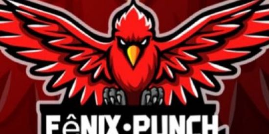 Imagem do grupo de WhatsApp recrutamento fenix punch solo,duo,line