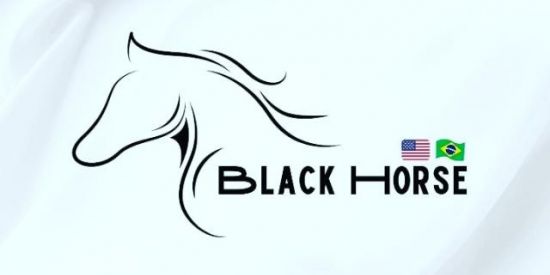 Imagem do grupo de WhatsApp 🐎BLACK HORSE🇧🇷🇺🇸