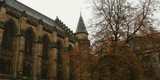 Imagem do grupo de WhatsApp Gʀᴜᴘᴏ ᴏғғ rpg🍷઼๋ꪳ҂