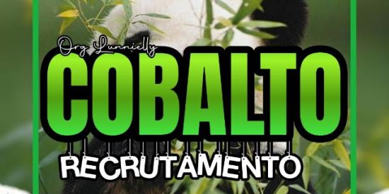 Imagem do grupo de WhatsApp ⚡•TRIAGEM COBALTO•🐼