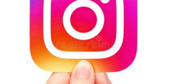 Imagem do grupo de WhatsApp Subir 100 seguidores dia.