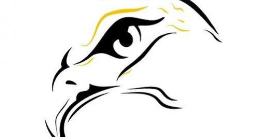 Imagem do grupo de WhatsApp Vigilância Norte