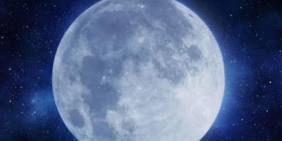 Imagem do grupo de WhatsApp Family Potter🌙