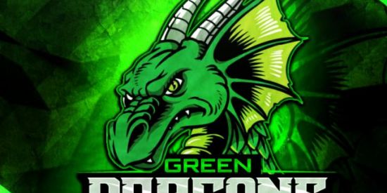 Imagem do grupo de WhatsApp (COD MOBILE GUILDA) GREEN DRAGONS