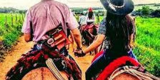 Imagem do grupo de WhatsApp ✅VIDEOS PARA STATUS ✅100%