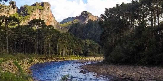 Imagem do grupo de WhatsApp @asgard&midgard 🪵🌳🍺🦅