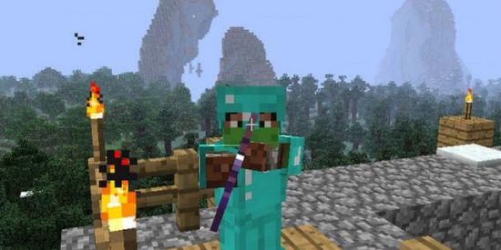 Imagem do grupo de WhatsApp Sedd do Minecraft