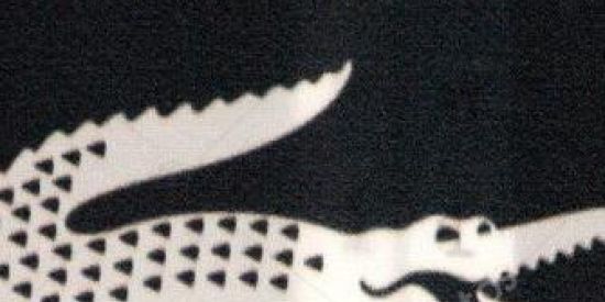 Imagem do grupo de WhatsApp Cade as mina pww