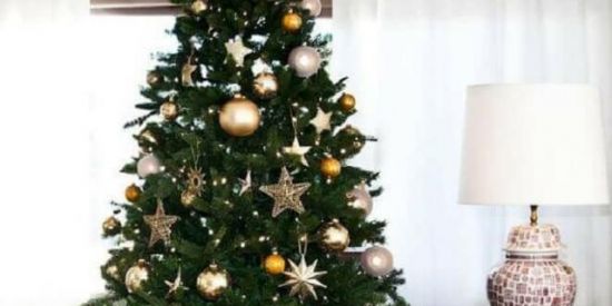 Imagem do grupo de WhatsApp 🎄🎊 MBTI Christmas 🎊🎄