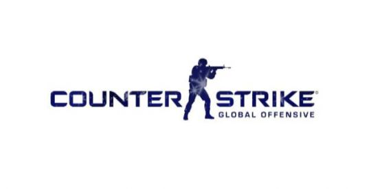 Imagem do grupo de WhatsApp Counter Strike GO BRASIL