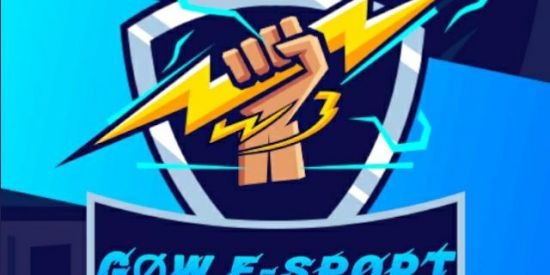 Imagem do grupo de WhatsApp TESTE  GØW E-SPORT OFC