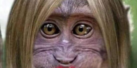 Imagem do grupo de WhatsApp Zoeira 24h