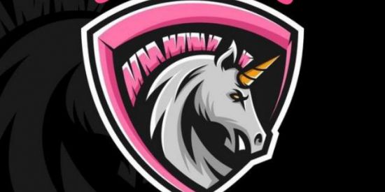 Imagem do grupo de WhatsApp Recrutamento SWAT GIRLSS.