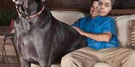 Imagem do grupo de WhatsApp GRUPO PRA CAÇAR BRIGA 🤡