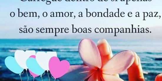 Imagem do grupo de WhatsApp Solidariedade amiga