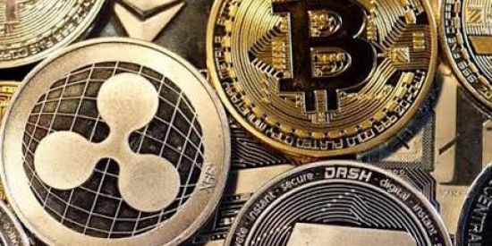 Imagem do grupo de WhatsApp Suporte cripto