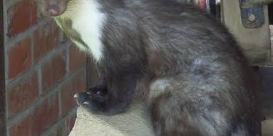 Imagem do grupo de WhatsApp doidera🤪🙅‍♀️🙅‍♂️