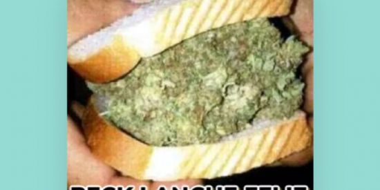 Imagem do grupo de WhatsApp Os noiados🤡🤡