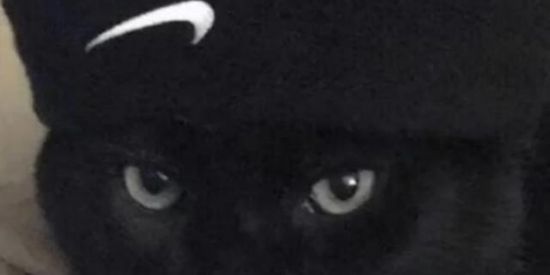 Imagem do grupo de WhatsApp MAIS VINWS STATUS