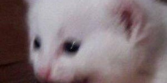 Imagem do grupo de WhatsApp Natal dos lacradores 📍