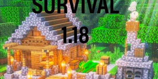Imagem do grupo de WhatsApp (SERVE) survival 1.18