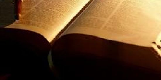 Imagem do grupo de WhatsApp Estudos Bíblicos📓🖊️📝📖