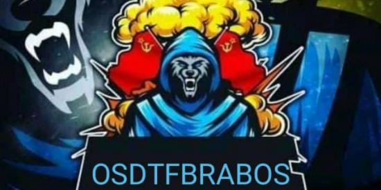Imagem do grupo de WhatsApp DTFBRABOS🥴