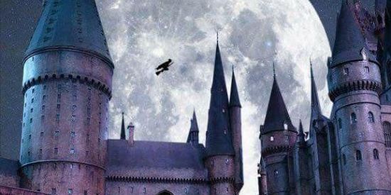 Imagem do grupo de WhatsApp RPG Harry Potter