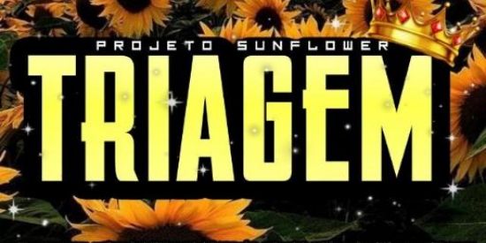 Imagem do grupo de WhatsApp Triagem sunflower