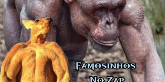 Imagem do grupo de WhatsApp Famosinhos no zap