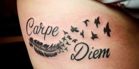 Imagem do grupo de WhatsApp 💫✨🛕CARPE DIEM 🪂🎡🎼