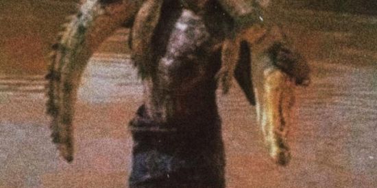 Imagem do grupo de WhatsApp Rᴇᴘᴜʙʟɪᴄᴀ.ᴏʀɢ ☠︎︎