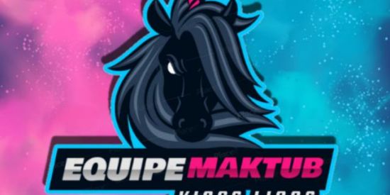 Imagem do grupo de WhatsApp 🌻TRIAGEM||•Kl's