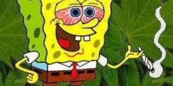 Imagem do grupo de WhatsApp Bando de Iludidas (Os)🤝