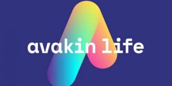 Imagem do grupo de WhatsApp Avakin Life