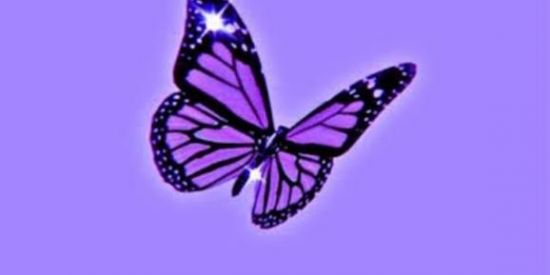 Imagem do grupo de WhatsApp Projeto meninas🦋