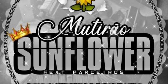 Imagem do grupo de WhatsApp PROJETO FLOWER🌻 /TRIAGEM