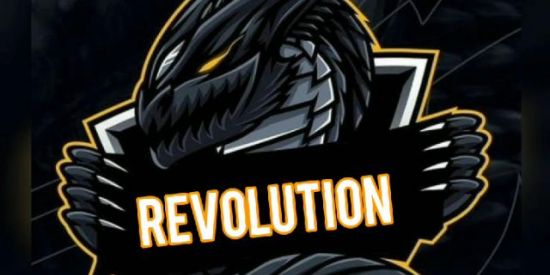 Imagem do grupo de WhatsApp REVOLUTION guilda