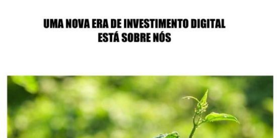 Imagem do grupo de WhatsApp Zelux Finance Investment