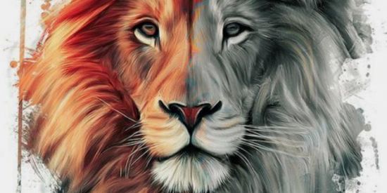 Imagem do grupo de WhatsApp RECRUTAMENTO ♕cl'α♕