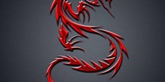 Imagem do grupo de WhatsApp RECRUTAMENTO RED DRAGON